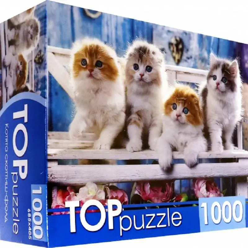 Пазлы 1000эл Котята скоттиш фолд TOPpuzzle, фото №1