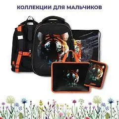 Школьные коллекции, фото №2