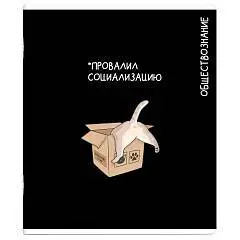 Тетрадь предметная 48л «КОТЫ МЕМЫ» ОБЩЕСТВОЗНАНИЕ, фото №1