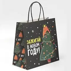 Сумка подарочная «Зажигай», 22 ? 22 ? 11 см, фото №1