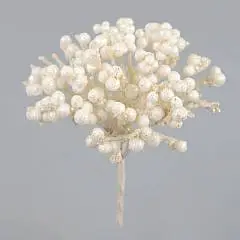 Ягоды на вставке, H14см, белый, фото №1