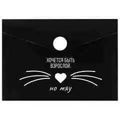 Папка д/карт и визиток Фразы с характером 10.5*7.4см 1отд пластик, фото №1