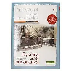 Папка для рисования "Professional" 20л, асс 160г, фото №1