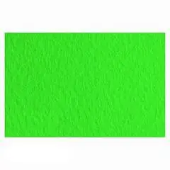 Бумага для пастели «Тициан» 160г A4 21*29.7см 1шт Травяной, фото №1