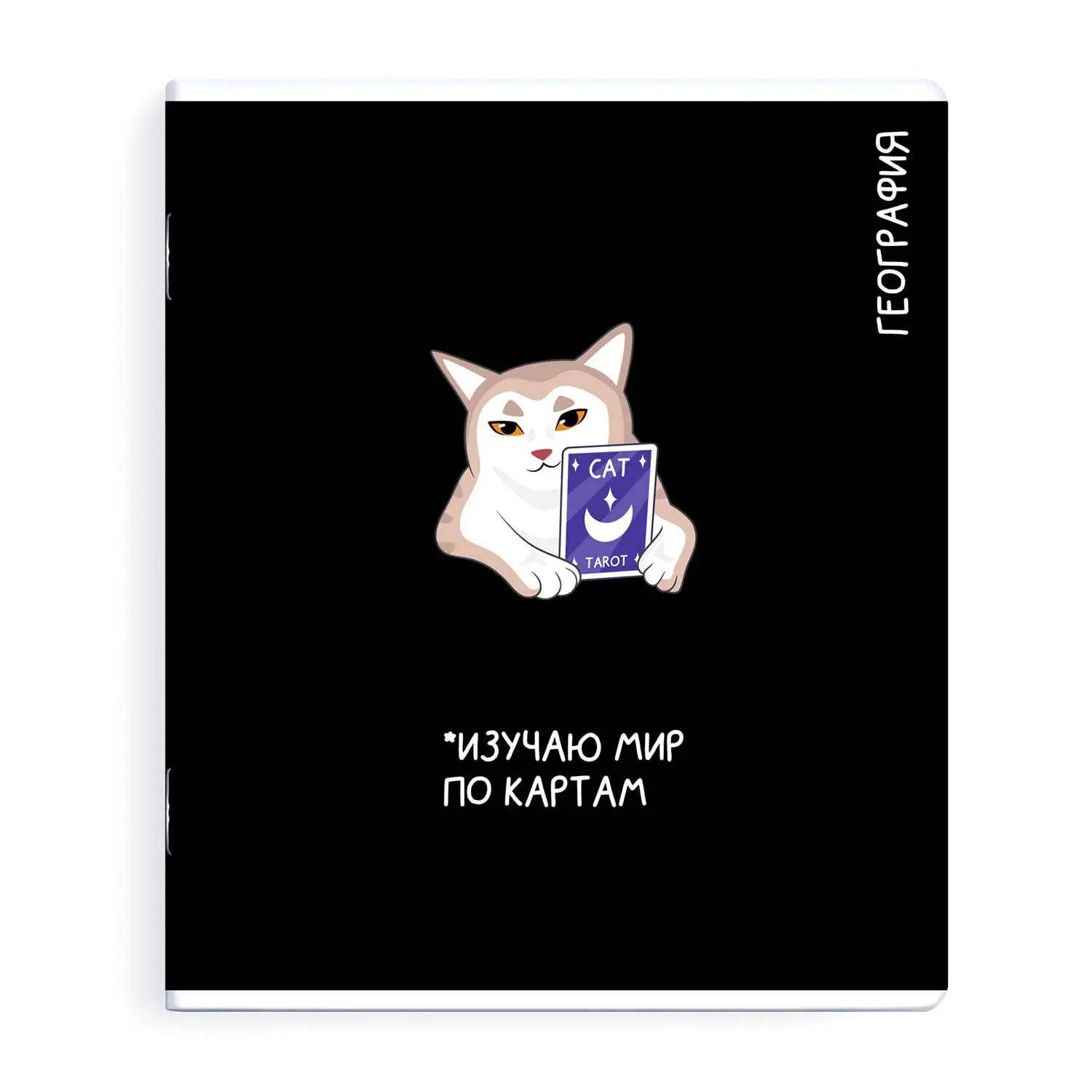 Тетрадь предметная 48л «КОТЫ МЕМЫ» ГЕОГРАФИЯ, фото №1