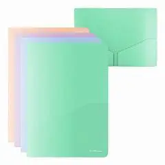Папка-уголок EK Matt Pastel Bloom, 2 кармана, A4, ассорти, фото №1