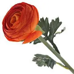 Цветок искусственный "Ранункулюс", L8 W8, фото №1