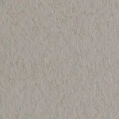 Бумага для пастели "Tiziano" 160г 50*65см 1 шт Серый теплый, фото №1