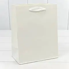 Сумка подарочная Крафт "Люкс" белый 18*23*10см, фото №1