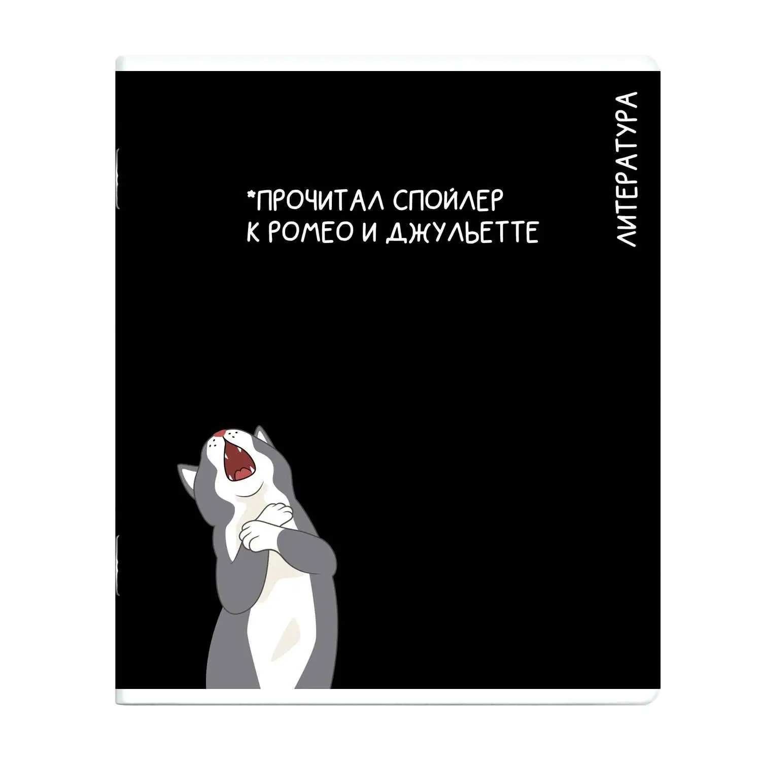 Тетрадь предметная 48л «КОТЫ МЕМЫ» ЛИТЕРАТУРА, фото №1
