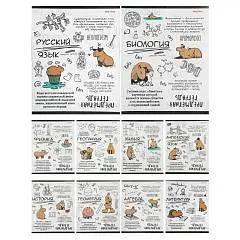 Комплект предметных тетрадей «КАПИБАРА» тис. лён, 10 предметов, фото №1