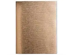 Тетрадь 96л КЛЕТКА "Бумвинил" METALLIC Золото, фото №1