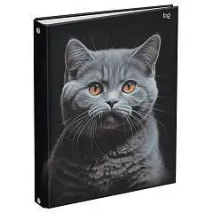 Тетрадь на кольцах 160л "Кот", глянцевая ламинация, фото №1