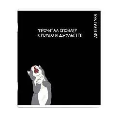Тетрадь предметная 48л «КОТЫ МЕМЫ» ЛИТЕРАТУРА, фото №1