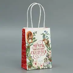 Сумка подарочная «Мечты сбудутся» крафт 15х10х6 см, фото №1