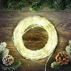 Гирлянда светодиодная уличная 100л LED 10м, теплый белый, фото №1