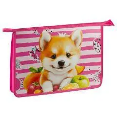 Папка 1 отделение, ArtSpace "Corgi", А4, пластик, на молнии, фото №1