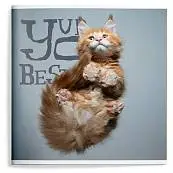 Детальное фото