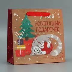 Сумка подарочная «Подарочек» крафт  22 х 22 х 11 см, фото №1