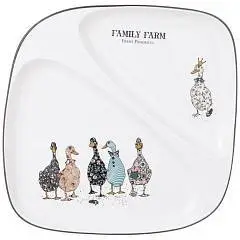 Тарелка обеденная "FAMILY FARM" 2 секции 26х2,5 см, фото №1