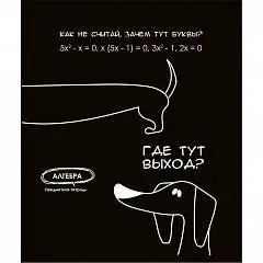 Тетрадь предметная 48л «Подслушано» Алгебра, тиснение холст, фото №1