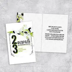 Открытка «23 Февраля», самолет, 12 х 18 см, фото №1