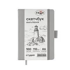 Альбом д/эскизов В6+ 100л  Студия серебро 110г, фото №1