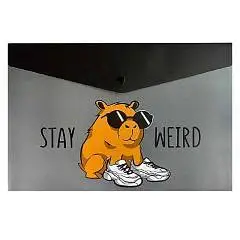 Папка на кнопке  А4 Чудная капибара 1отд кнопка пластик, фото №1